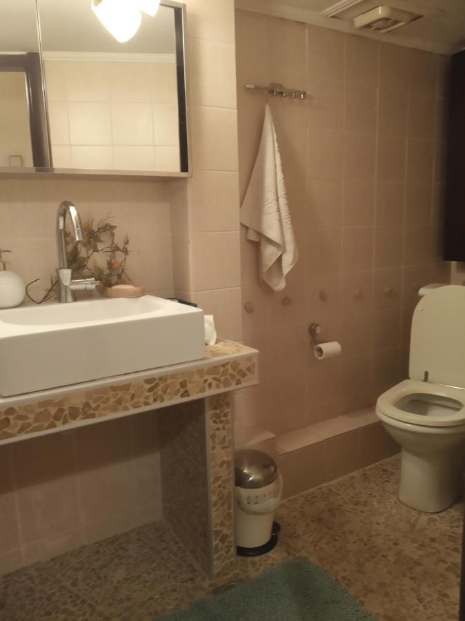 Spacious Cosy Apt テッサロニキ エクステリア 写真